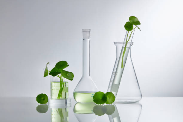 sustainablity